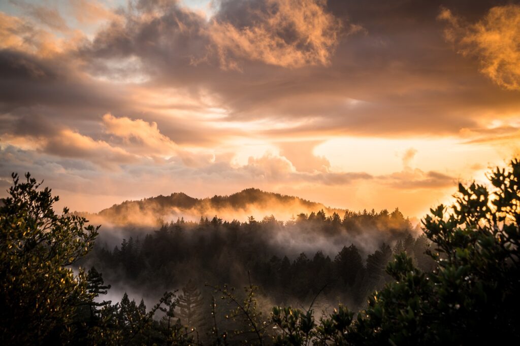 mountains, forest, sunset-5946500.jpg