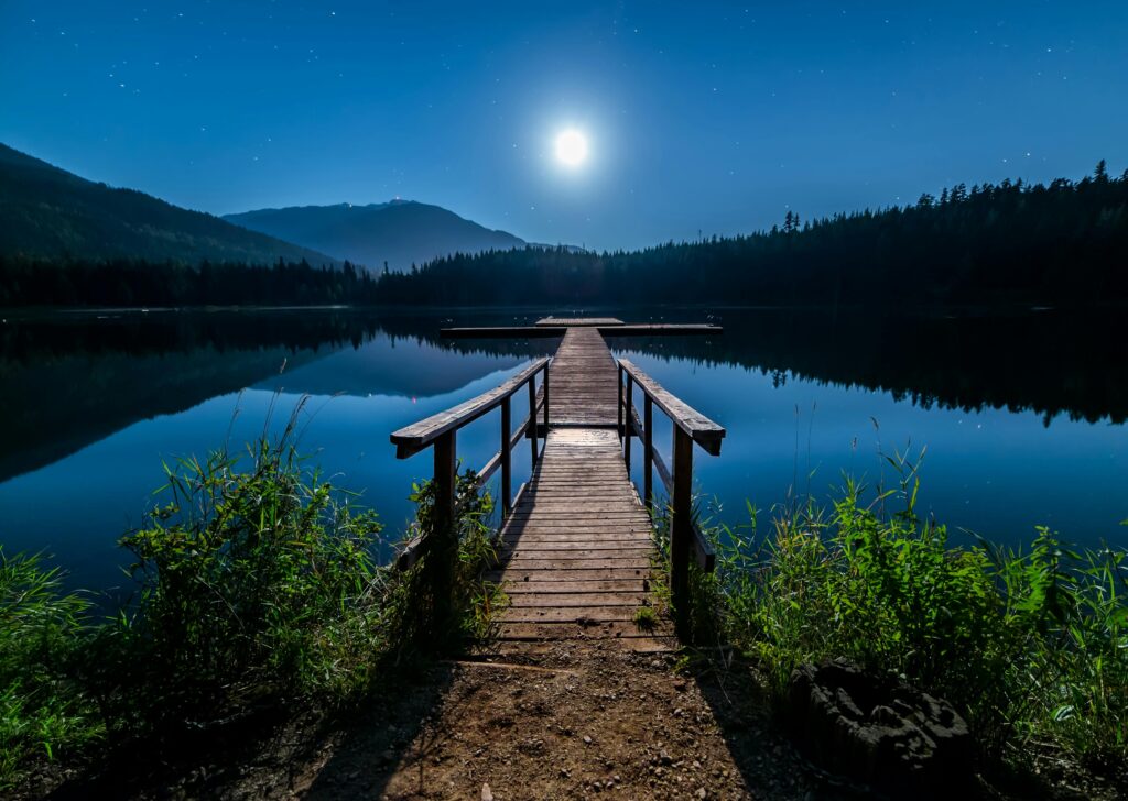 Brown Wooden Dock