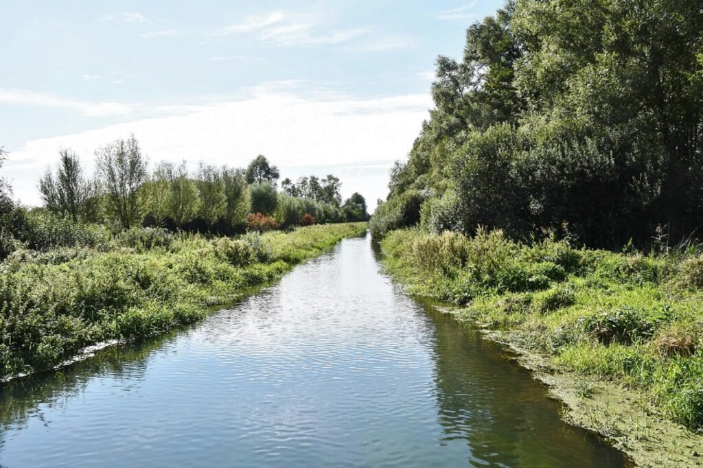 Calm river flowing through lush greenery in Roussent, perfect for nature lovers.